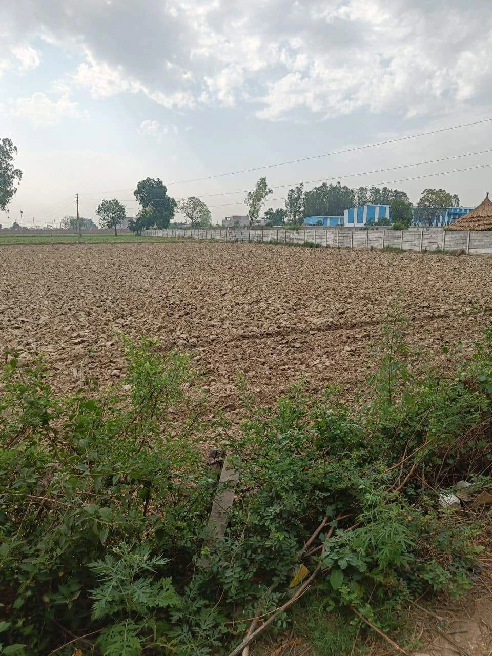 Chhata, Uttar Pradesh 281401, India