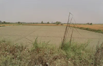 Adarsh Nagar, Delhi, 110033, India preview 3