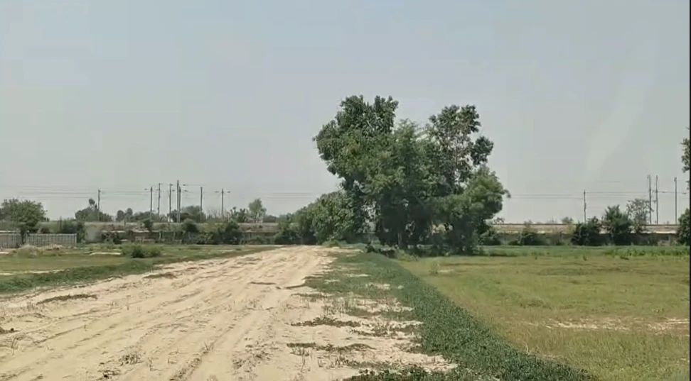 236V+PC7, Pali, Neembli Patelan, Rajasthan, India