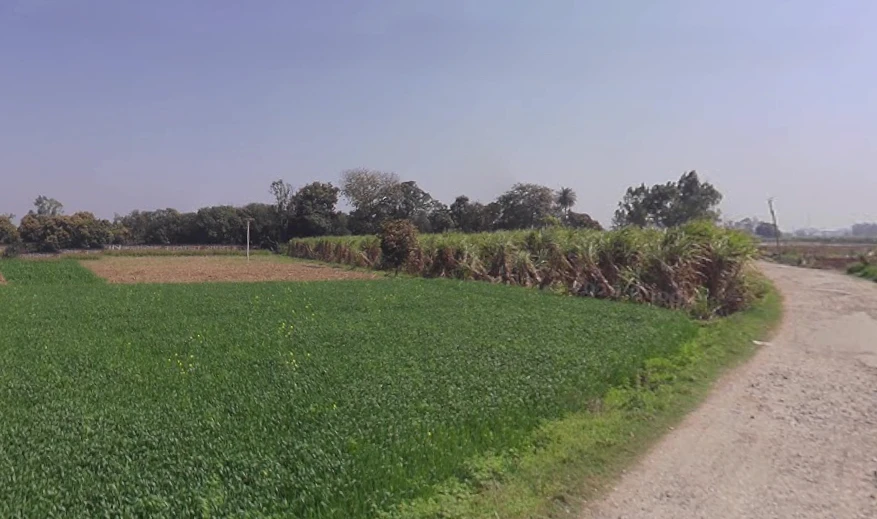 Atora, Uttar Pradesh 250401, India