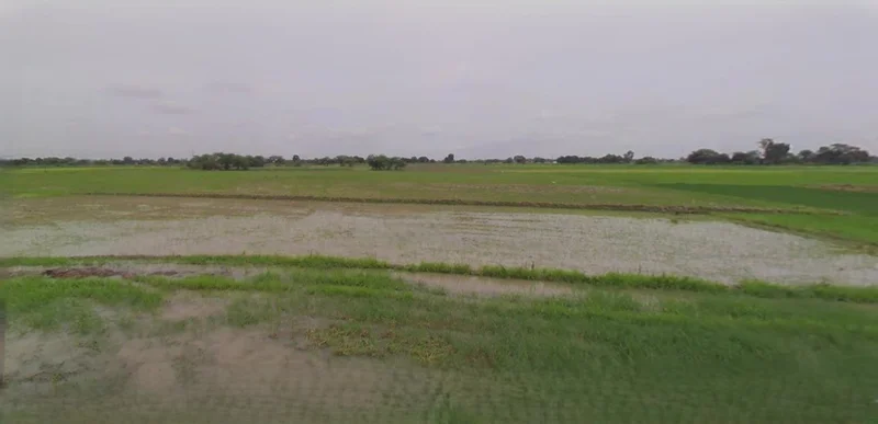 Barnagar, Madhya Pradesh 456771, India preview 2