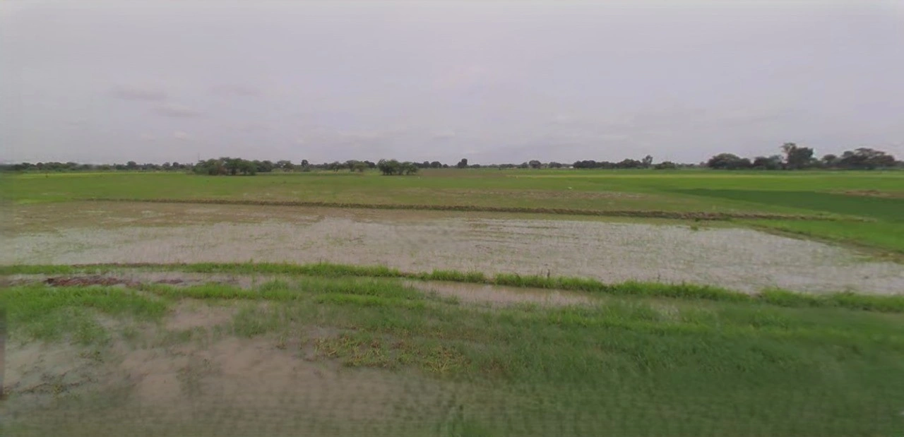 Barnagar, Madhya Pradesh 456771, India