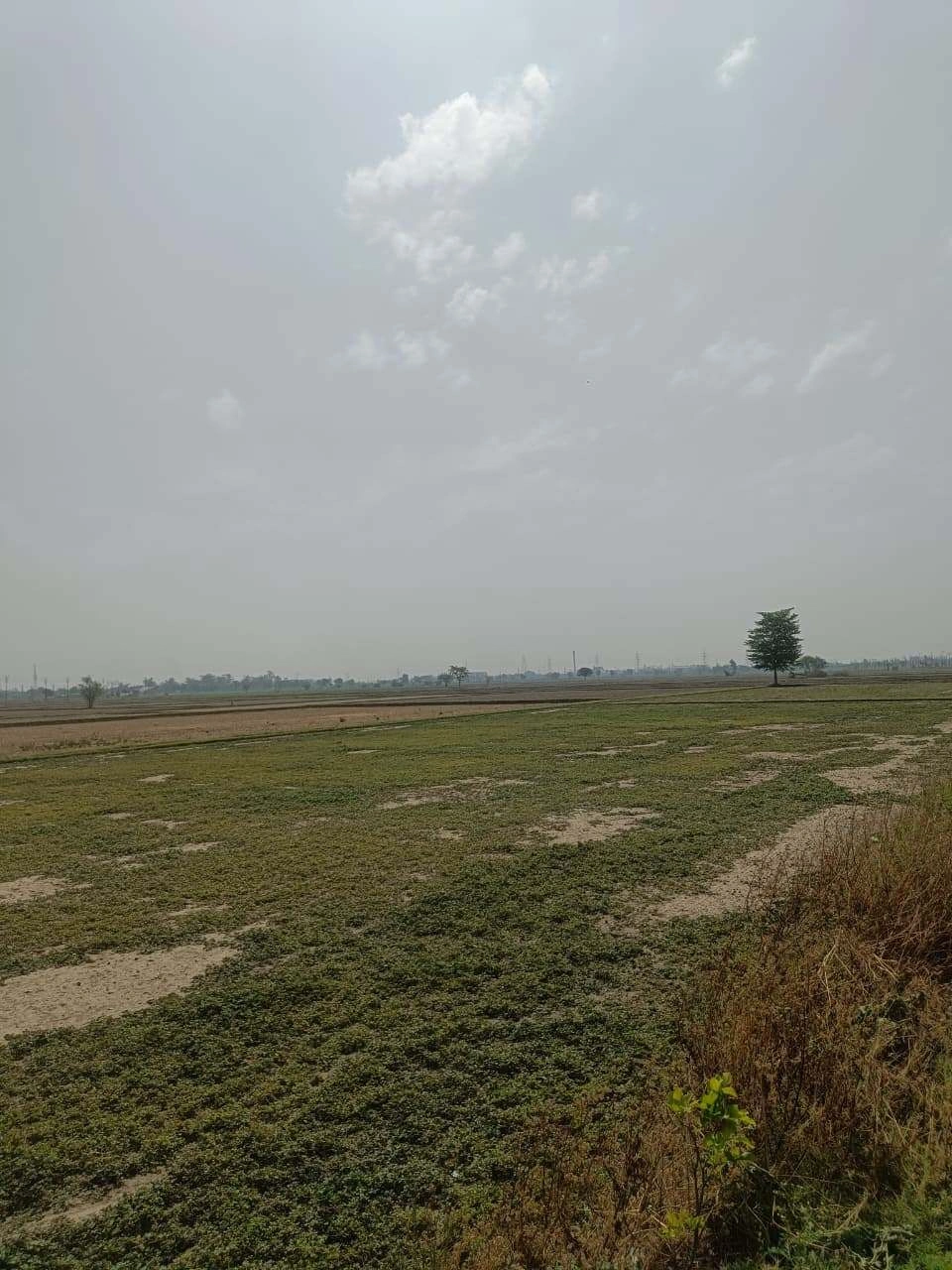 Aou, Rajasthan, India preview 2