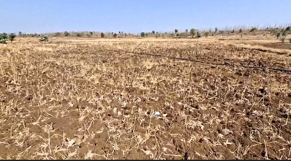 Damodara, Jaunpur, Uttar Pradesh 222137, India