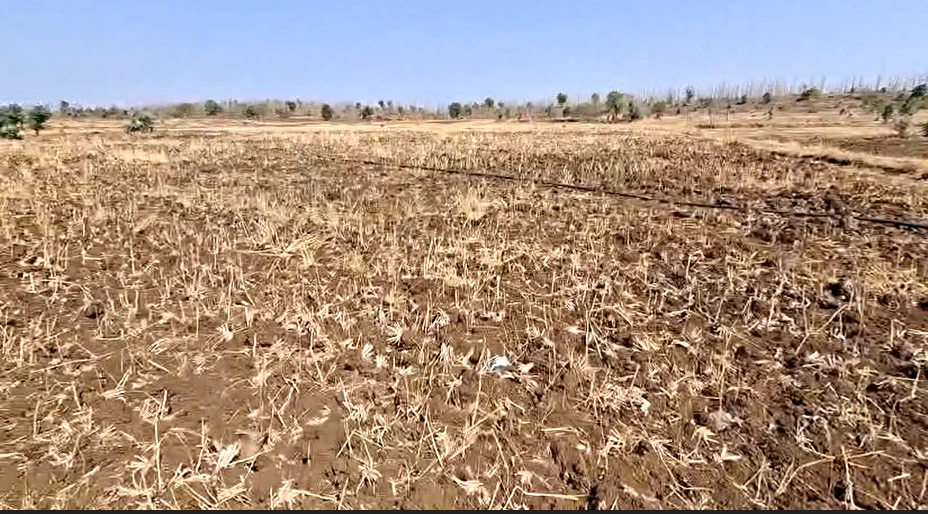 Damodara, Jaunpur, Uttar Pradesh 222137, India