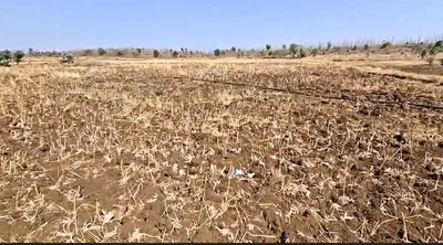 Damodara, Jaunpur, Uttar Pradesh 222137, India preview 2