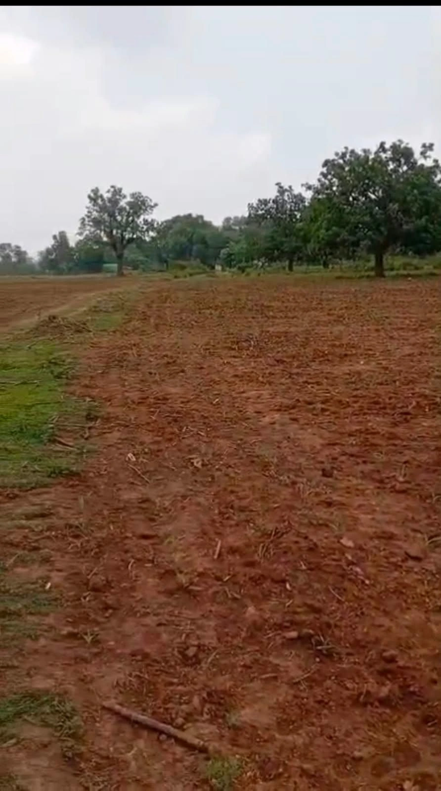 Jagannathprasad, Ganjam, Odisha 761121, India