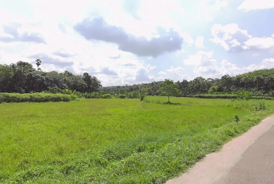 Varkala, Kerala, India