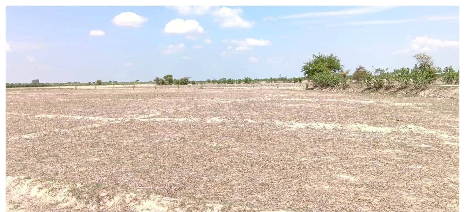 M5WJ+2Q Mohtashimpur, Uttar Pradesh, India
