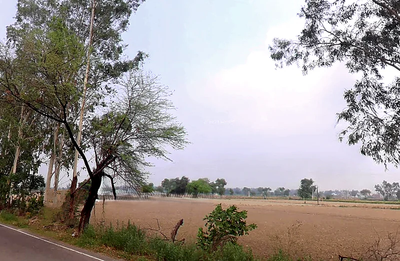Jind, Haryana, India preview 3