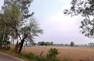Jind, Haryana, India preview 3