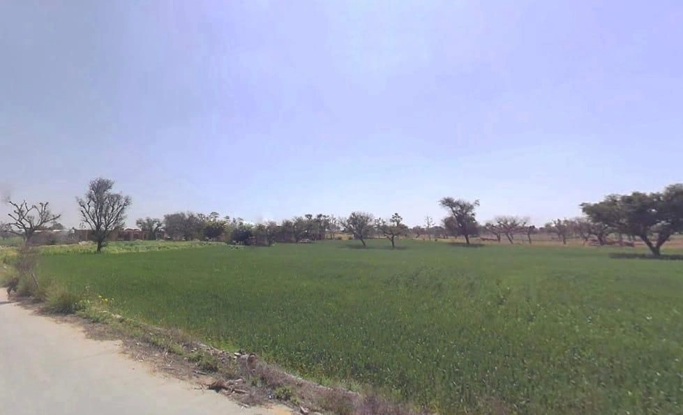 Khatoo, Rajasthan 332602, India preview 3