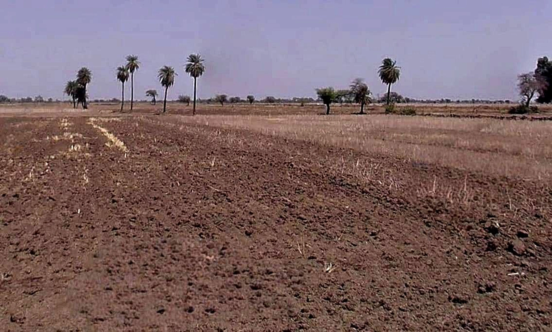 Burhar, Madhya Pradesh, India