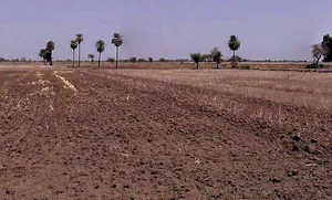 Burhar, Madhya Pradesh, India preview 2