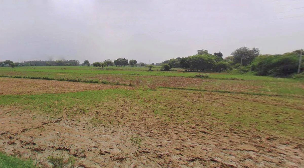 Haridwar, Uttarakhand, India