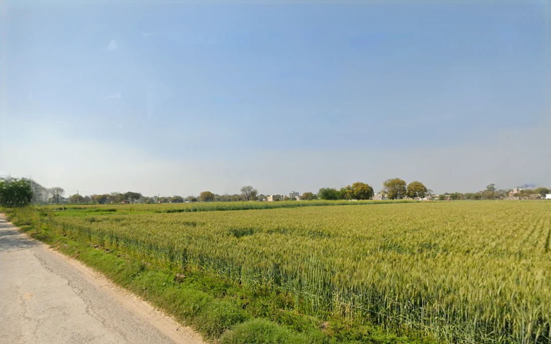 Najafgarh, Delhi, India