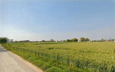 Najafgarh, Delhi, India preview 3