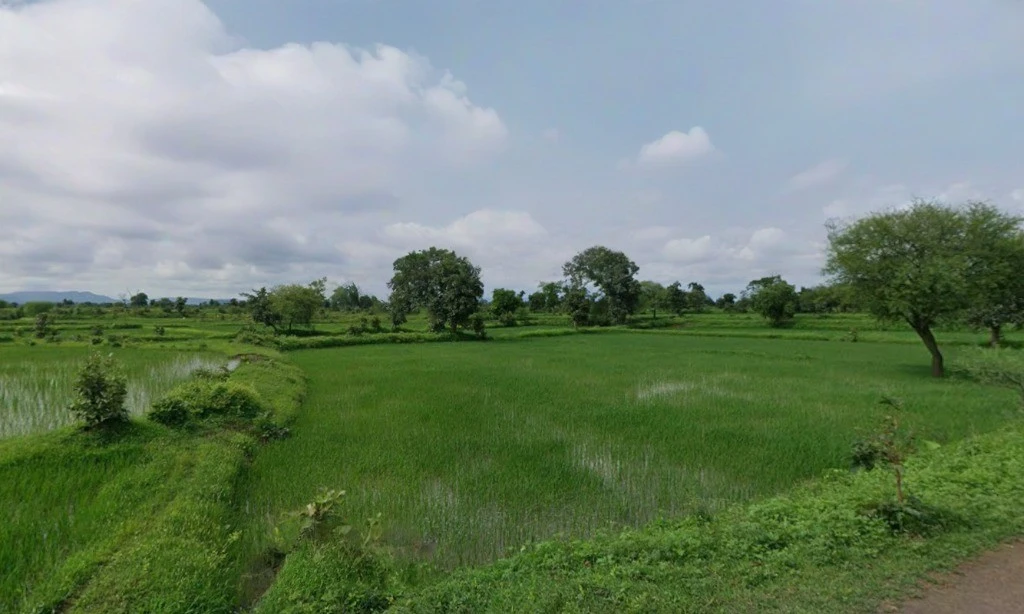 Jairamnagar, Chhattisgarh 495550, India