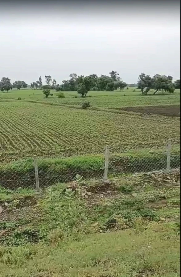 Pipalya Dhuma, Madhya Pradesh 456441, India