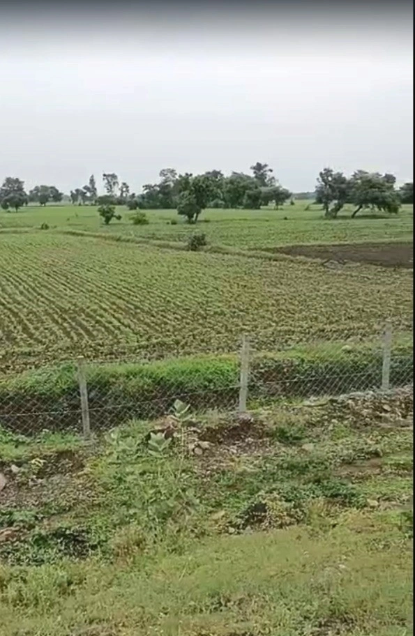 Pipalya Dhuma, Madhya Pradesh 456441, India