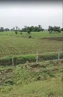 Pipalya Dhuma, Madhya Pradesh 456441, India preview 3
