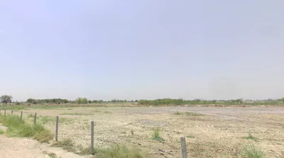 Meham, Haryana 124112, India preview 2