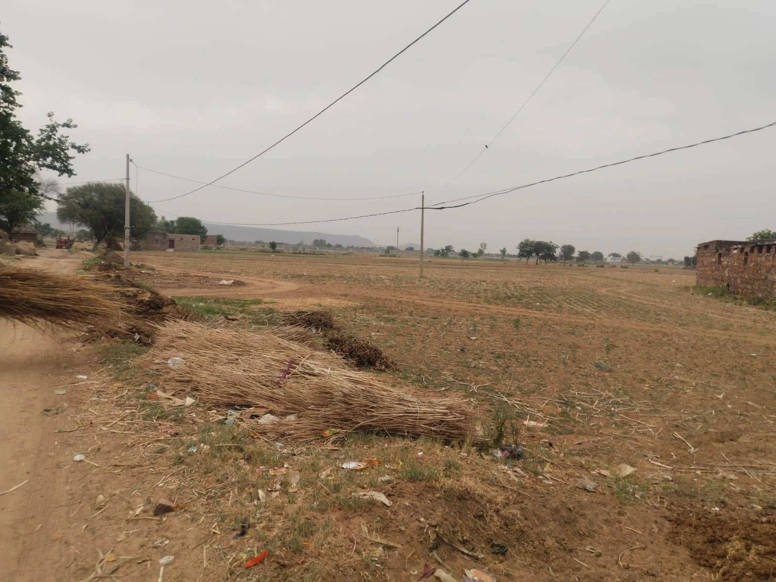 JXCF+H3 Dhanota, Rajasthan, India