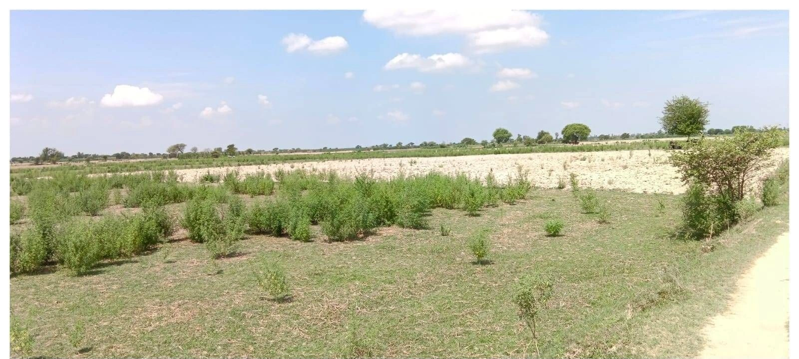 P57H+2R2, Darshan Nagar - Bharat Kund Marg, Malik Pur, Bhadokhar, Uttar Pradesh 224201, India