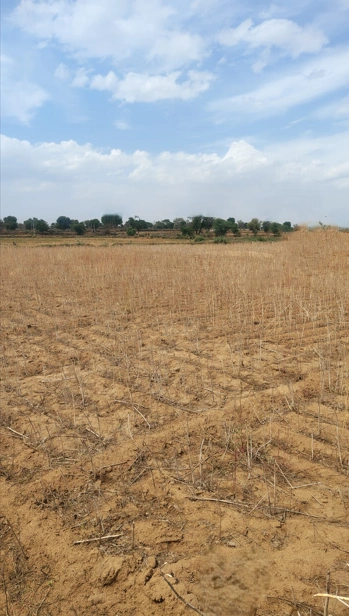 Ismailpur, Rajasthan 301404, India preview 3