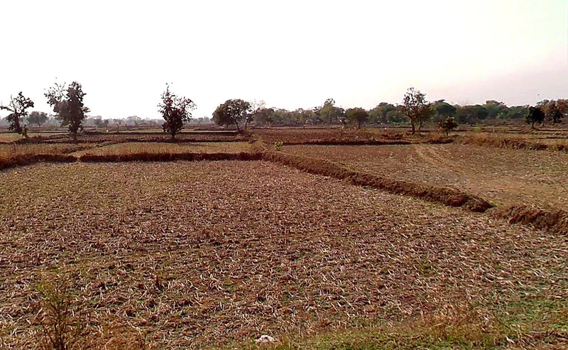 Gota, Chhattisgarh, India preview 3