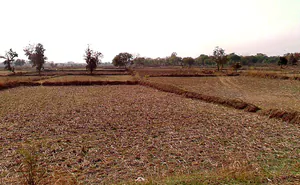 Gota, Chhattisgarh, India preview 3