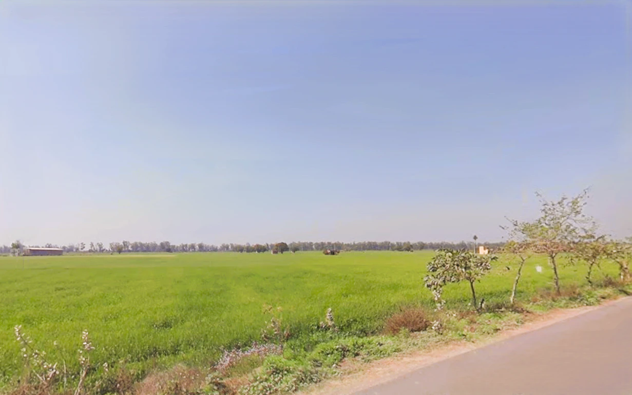 Khubru, Haryana 131101, India