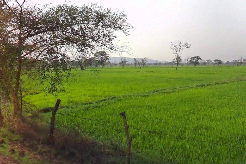 Bandha, Chhattisgarh, India preview 3