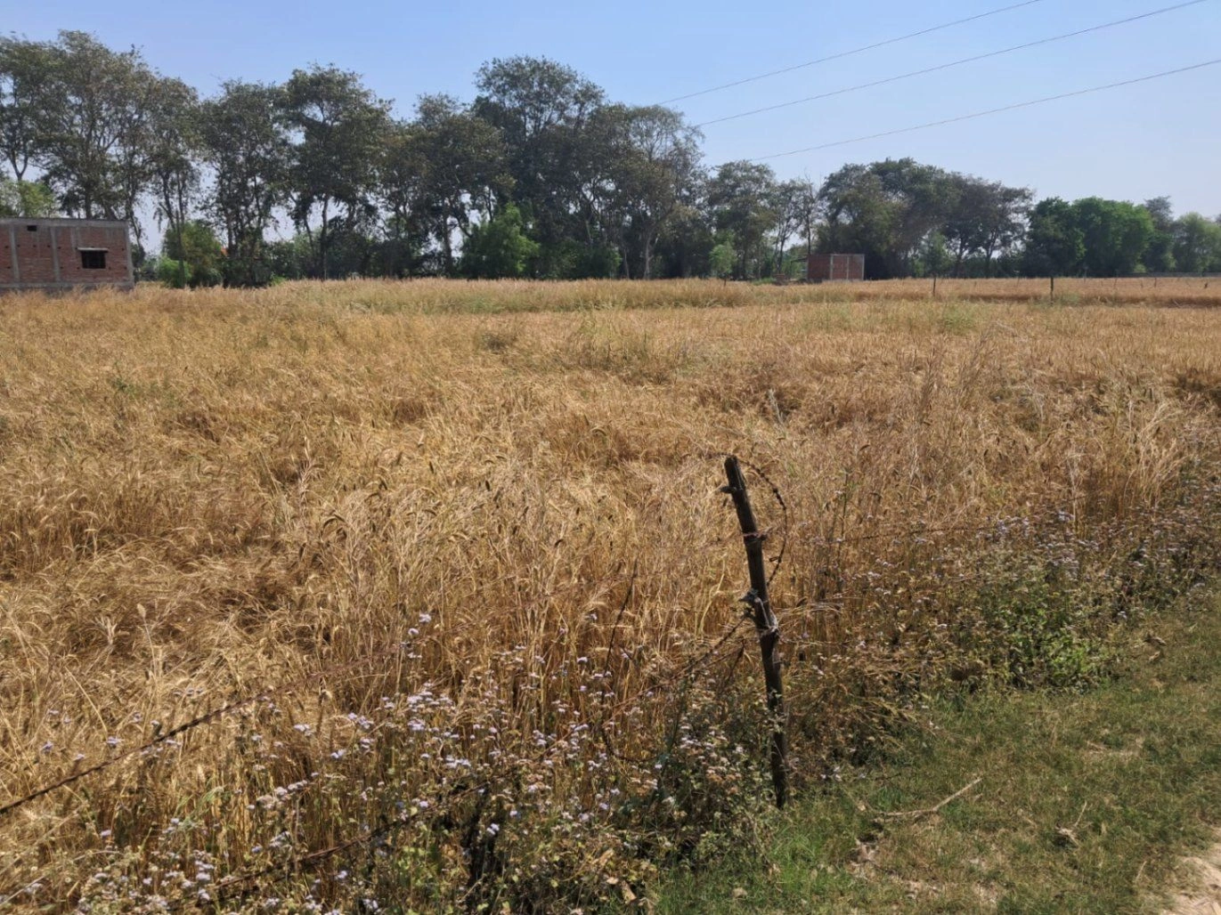 Bharat Kund, Uttar Pradesh 224202