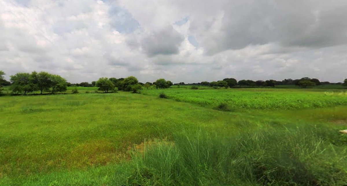 Haridwar, Uttarakhand, India