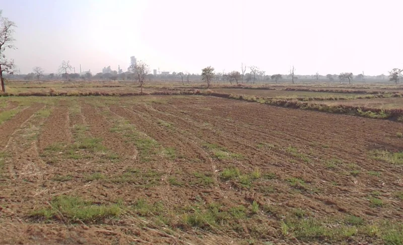 Aurethi, Chhattisgarh 493101, India preview 2