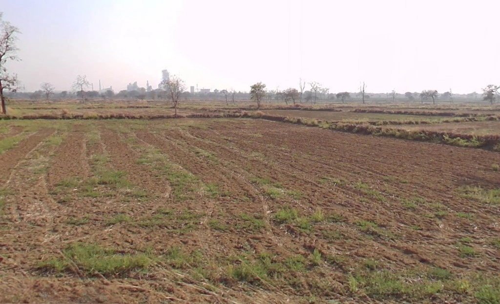 Aurethi, Chhattisgarh 493101, India