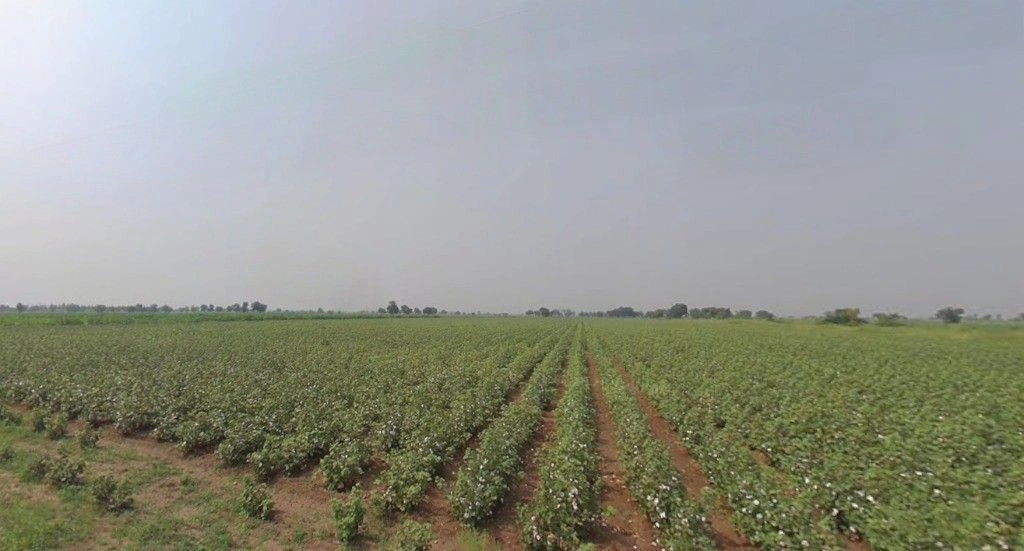 Patana, Gujarat, India preview 3