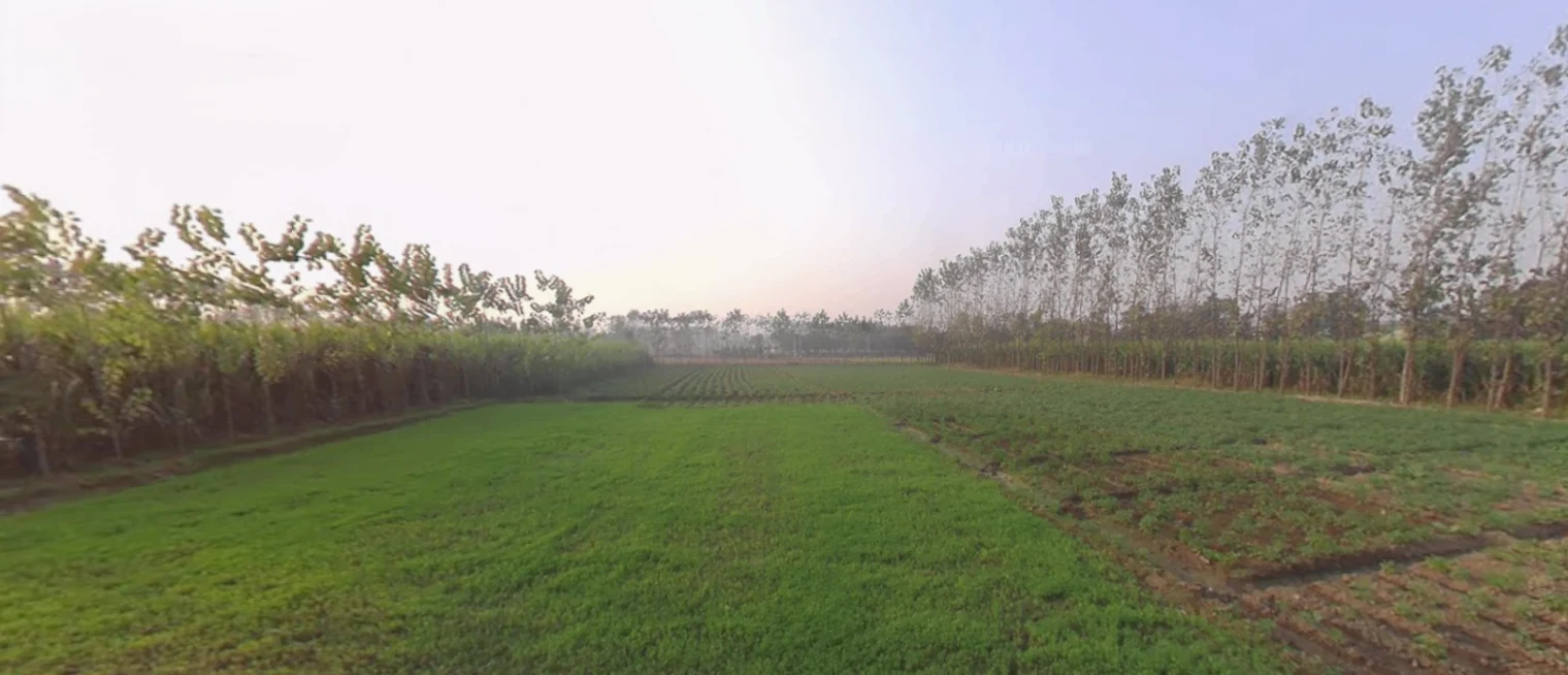 Bhagwanpur, Uttarakhand 247661, India