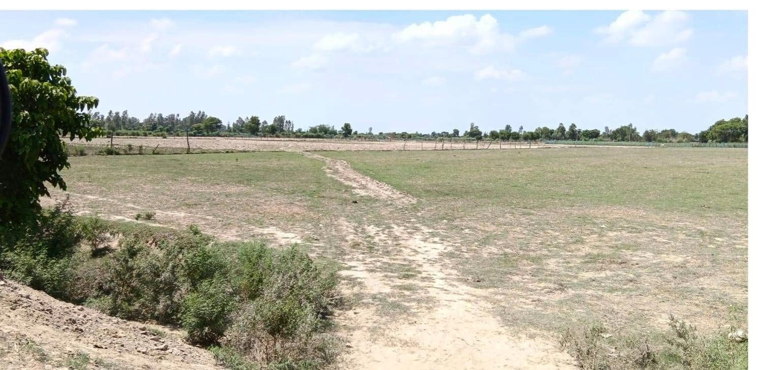 P57H+2R2, Darshan Nagar - Bharat Kund Marg, Malik Pur, Bhadokhar, Uttar Pradesh 224201, India