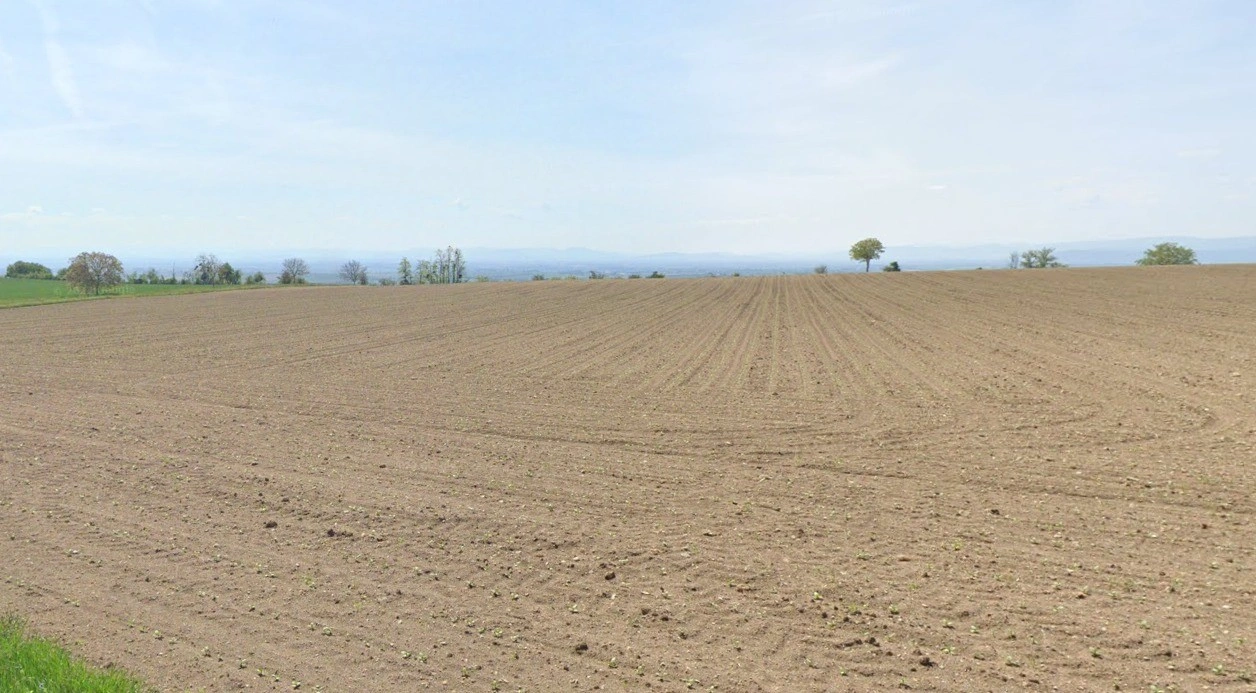 Shahna, Madhya Pradesh 453551, India