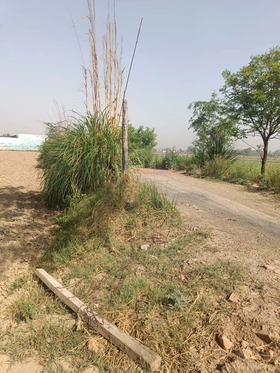 Ajhai Kalan, Uttar Pradesh 281406, India
