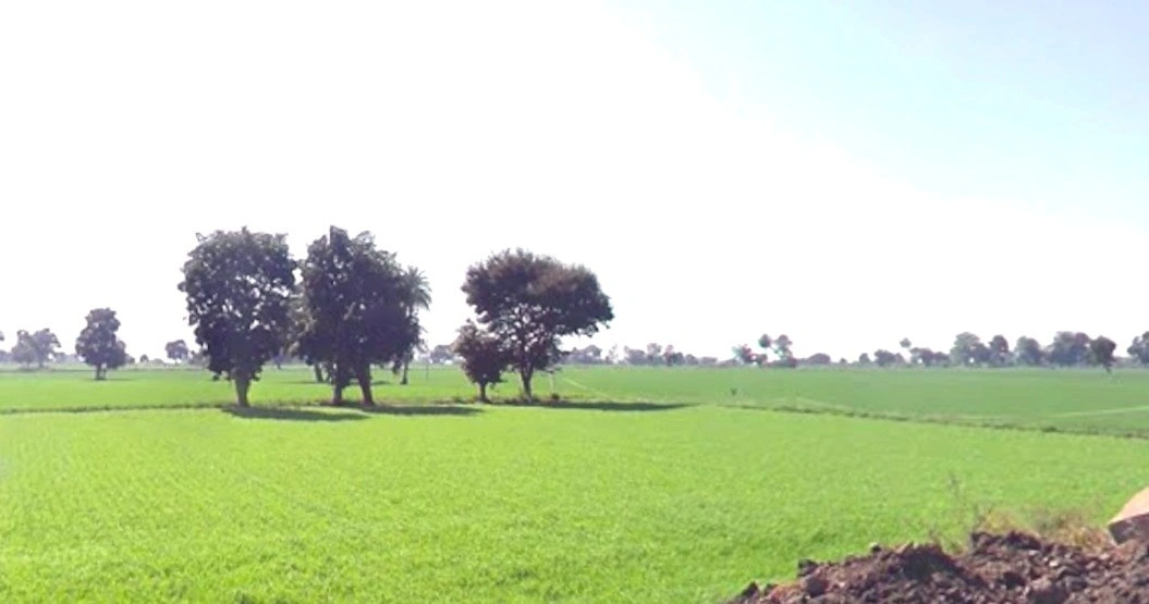 Agar, Madhya Pradesh 465441, India
