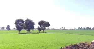 Agar, Madhya Pradesh 465441, India preview 3