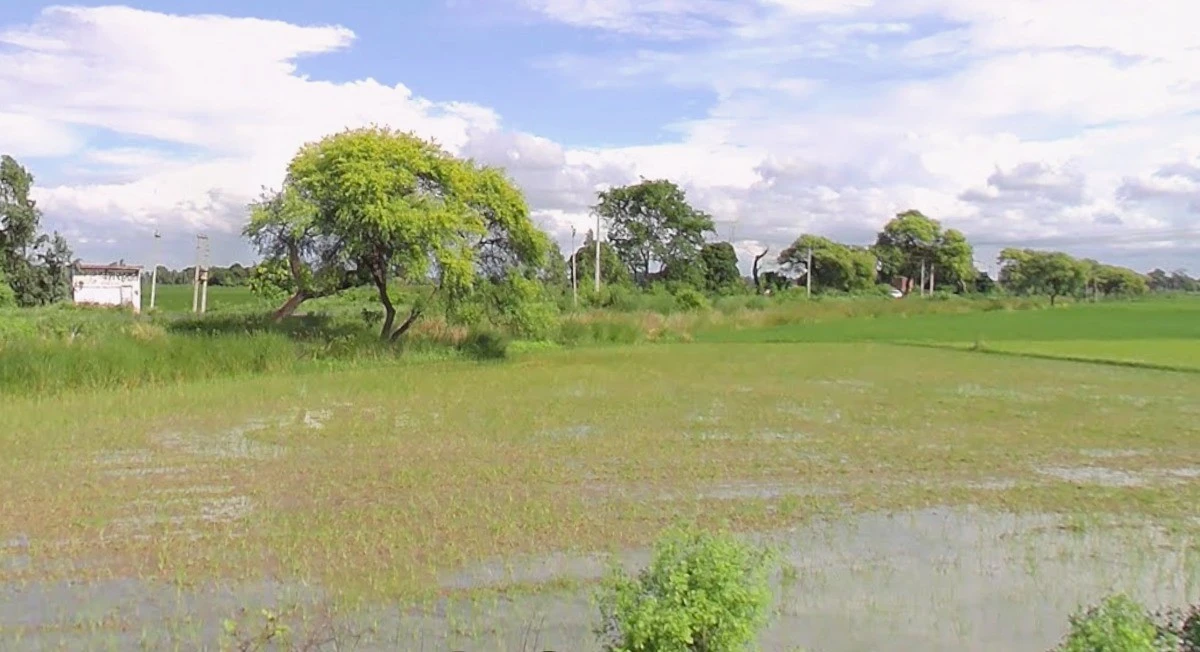 Tarawali, Madhya Pradesh 464551, India