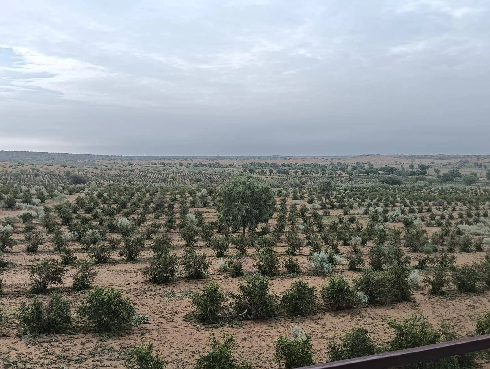 9M9C+5HH, Bikaner, Makeri, Rajasthan 334808, India