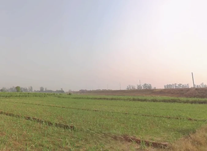 2J5F+GFM, Sindhawali, Sindhawli, Uttar Pradesh 250005, India