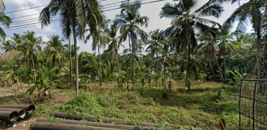 67, Chajeri puramb, Tanur, Kerala 676302, India