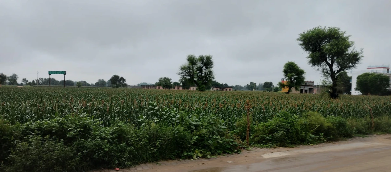 Nurpur Bedi, Punjab 140117, India
