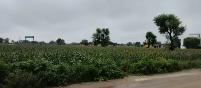 Nurpur Bedi, Punjab 140117, India preview 3